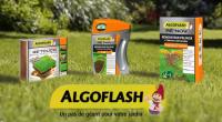 <p><a href="http://www.youtube.com/watch?v=xax_oZ2NmS4" target="_blank">D&eacute;couvrez vite, en image, la nouvelle gamme de semences Algoflash, pour r&eacute;parer votre pelouse !</a></p>
