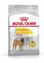CANINE CARE NUTRITION Croquettes DERMACOMFORT Médium 10KG ROYAL CANIN