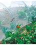 BIOCONTROL Filet anti-insectes 2.20x10m