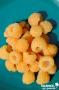 FRAMBOISIER 'Fallgold' C4.5L