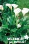 ARUM C15L
