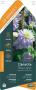 CLEMATIS 'Blue Light' COV PALIS 90/120 C3L