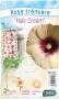 ALCEA rosea 'Halo Cream' C1L ROSE TRÉMIÈRE
