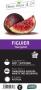 FIGUIER 'Ice Crystal'® AB C1.5L PETITS FRUITS&CIE