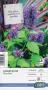 AGASTACHE 'Blue Boa' violet C2L-RC