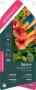 CAMPSIS tagliabuana 'Tracamp' Orangeade® PALIS 90/120 C3L