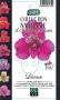 ALSTROEMERIA Pitchounes® 'Leonie' violet C2L