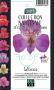 ALSTROEMERIA Pitchounes® 'Lucas' violet C2L