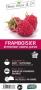 FRAMBOISIER 'Aroma-queen' RM C1.5L PETITS FRUITS&CIE