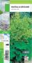 ALCHEMILLA mollis jaune G8 JARDIN&ROCAILLE