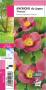 ANEMONE hupehensis 'Praecox' G8 JARDIN