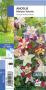 AQUILEGIA 'Mckana' G8 JARDIN