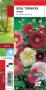 ALCEA ficifolia G8 JARDIN