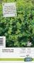 ALCHEMILLA mollis jaune C2L-RC LES VIVACES À FEUILLAGE DÉCORATIF