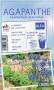 AGAPANTHUS africanus bleu C1L