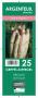 ASPERGE 'Argenteuil' 1AN GRIF/25