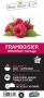 FRAMBOISIER 'Heritage' C1.5L