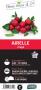 AIRELLE C1.5L