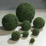 Boule-Mini Buis   Ø10