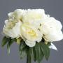 Bouquet Pivoine  Crème H30