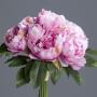 Bouquet Pivoine  Lavande H30