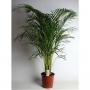 ARECA H150 P27