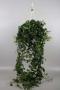 HEDERA vert Xxl H90 SUSPØ24