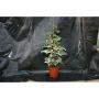 HEDERA marengo H60 P13