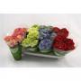 HORTENSIA 3+FLR H23 P10