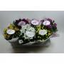 CHRYSANTHEME elle Flr 5P H28 P14