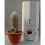 CACTUS campana H80 P32
