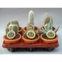 CACTUS campana H20 P13