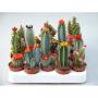CACTUS fleurs Art. H12 P5.5