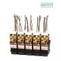 FRAMBOISIER fallgold Framboise jaune H55 P15
