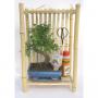 BONSAI bonsai-kit H40 P20