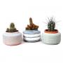 CACTUS H23 CPEØ19-CERAM