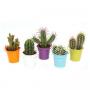 Cactus mt101 h5-p6-zinc