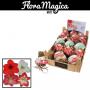 AMARYLLIS 2FLR H15 P60-BOIS