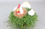 HELEXINE poulet P-65 H22 P13