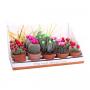 CACTUS +flr Artif Real Desert Rd09 H30 P10.5