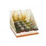 CACTUS real Desert Rd11 BOUL H23 P5.5