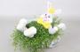 HELEXINE lapin Brouette P-73 H25 P11