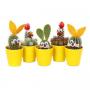 CACTUS paques Jaune Pa-75 H12 P6
