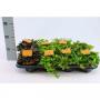 PEPEROMIA H15 P10.5