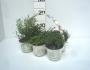 Aromatiques tfe-pack6p9