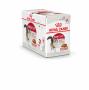 FELINE HEALTH NUTRITION Émincé INSTINCTIVE SAUCE Adult 12X85G ROYAL CANIN