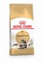 FELINE BREED NUTRITION Croquettes MAINE COON Adult 2KG ROYAL CANIN