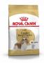 BREED HEALTH NUTRITION Croquettes CAVALIER KING CHARLES Adult 1.5KG ROYAL CANIN