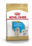 BREED HEALTH NUTRITION Croquettes GOLDEN RETRIEVER Puppy 12KG ROYAL CANIN